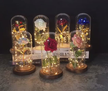 Rose Artificial Flowers - Beauty and the Beast